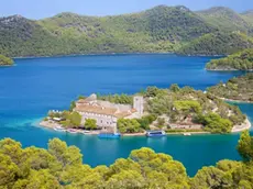 Una veduta dell’isola dalmata di Meleda Foto Shutterstock