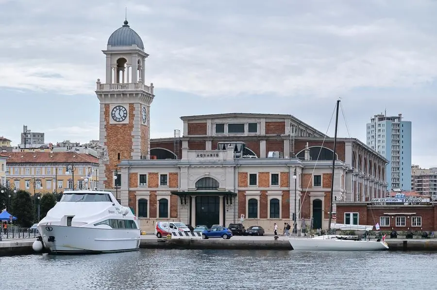 L'Aquario marino comunale