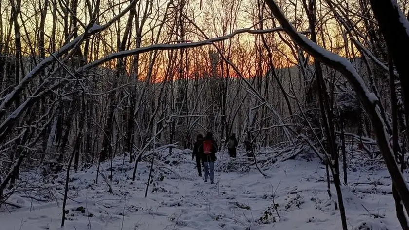 L'incontro nel bosco con i migranti nella foto postata dal professore del Collettivo Vicentino