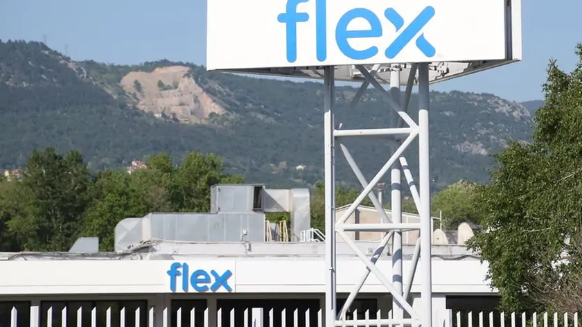 Lo stabilimento della Flex Foto Lasorte