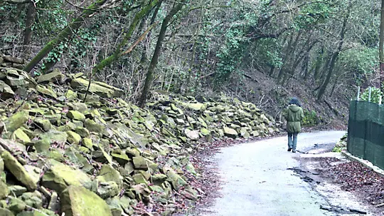 Prosecco, la strada che offre diversi scorci panoramici foto Lasorte