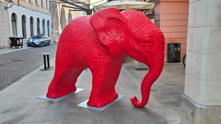 La scritta sull’elefante rosso della Craking art davanti al teatro Verdi