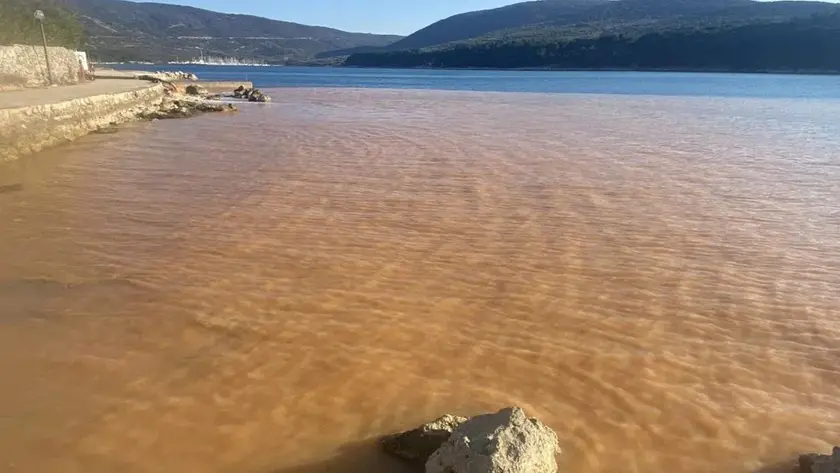 La vasta chiazza marrone in mare a Cherso