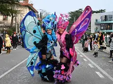 Nelle strade di Opicina due farfalle per il Carnevale carsico che torna a sfilare sabato foto Bruni