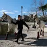 L'arrivo dei cavalli della fanfara dei carabinieri all'ippodromo (Silvano)