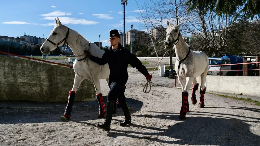 L'arrivo dei cavalli della fanfara dei carabinieri all'ippodromo (Silvano)