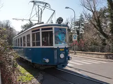 Il Tram di Opicina in via Commerciale Foto Andrea Lasorte