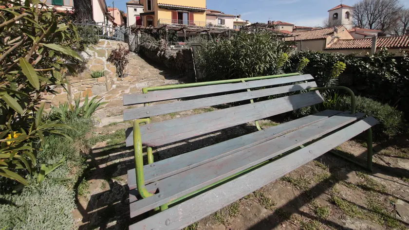 La panchina di Contovello (Lasorte)