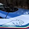 Una volante della Polizia