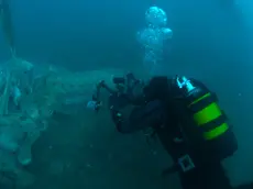 L'intervento e i resti della balena (foto Area marina protetta Miramare)
