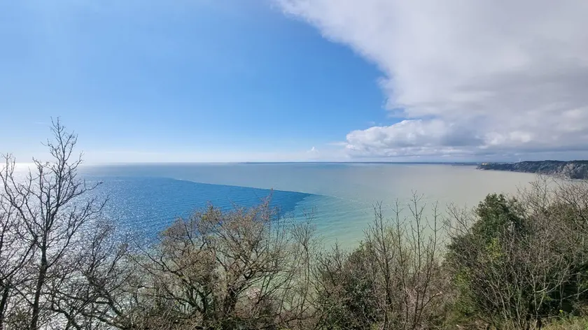 In chiaro l’acqua dolce dell’Isonzo nel Golfo di Trieste vista dalla Costa dei Barbari