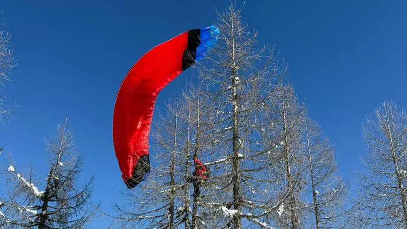 Il parapendista impigliato tra i rami dell'albero sul Lussari