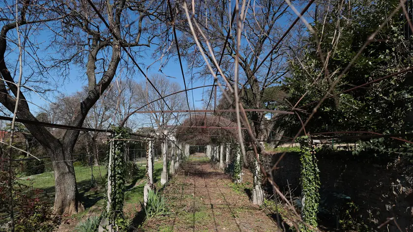 Il colonnato da restaurare di Villa Engelmann (Lasorte)