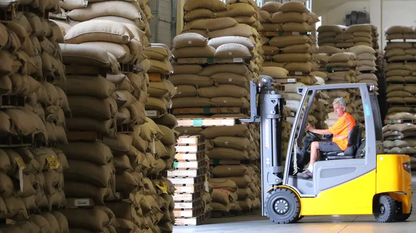 Ancora problemi per il settore del caffè. Sopra, il Magazzino Pacorini al porto di Trieste