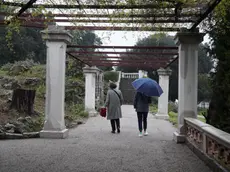 La riapertura al pubblico del Parco Coronini (Bumbaca)