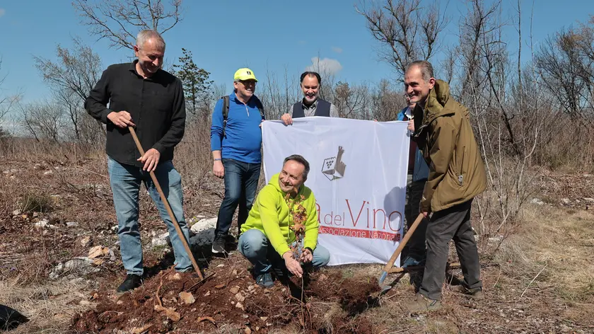 La piantumazione degli alberi a Medeazza (Lasorte)