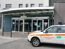 Il Pronto soccorso di Gorizia (Bumbaca)