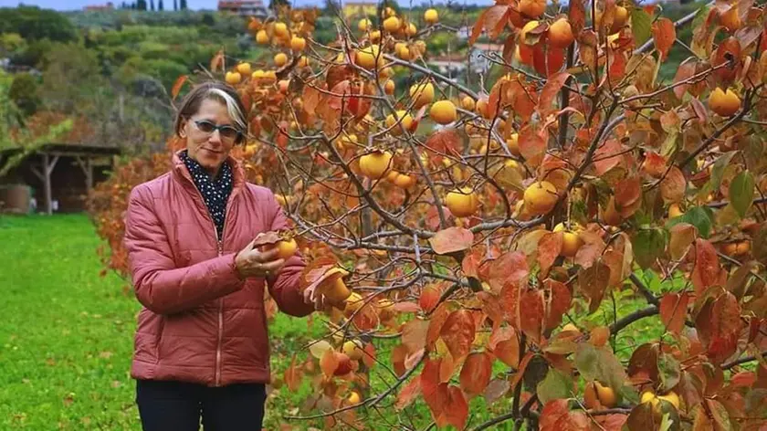 Liliana Resinovich, 63 anni, ritrovata cadavere il 5 gennaio 2022 fra le sterpaglie ai margini dell’ex Opp
