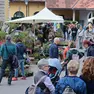 Horti Tergestini, edizione 2025. Fotoservizio Andrea Lasorte
