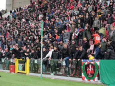 Tifosi allo stadio Rocco durante il match con il Novara (Lasorte)