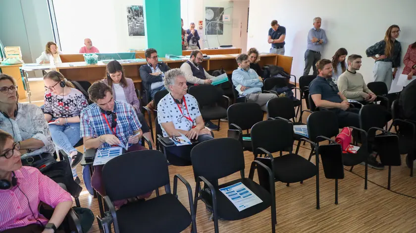 La riunione a Gorizia (Tibaldi)