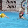 Il portiere alabardato Dejan Draskovic