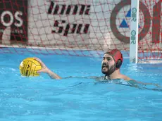 Il portiere alabardato Dejan Draskovic