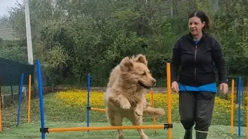 La dog sitter Rossella Apollonio con un cane nel terreno in questione