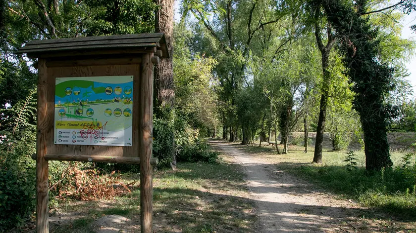 Il Parco dell'Isonzo a Turriaco (Bonaventura)