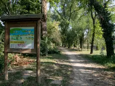 Il Parco dell'Isonzo a Turriaco (Bonaventura)
