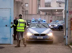 Una volante della Polizia a Monfalcone Foto Katia Bonaventura