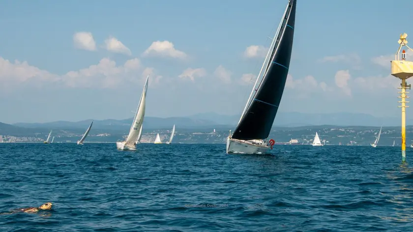 Una delle regate del circuito "Solo2" (Foto Manuela Dossi)