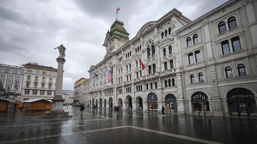 Il Municipio di Trieste (Lasorte)