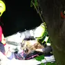 Il capretto soccorso dai Vigili del fuoco