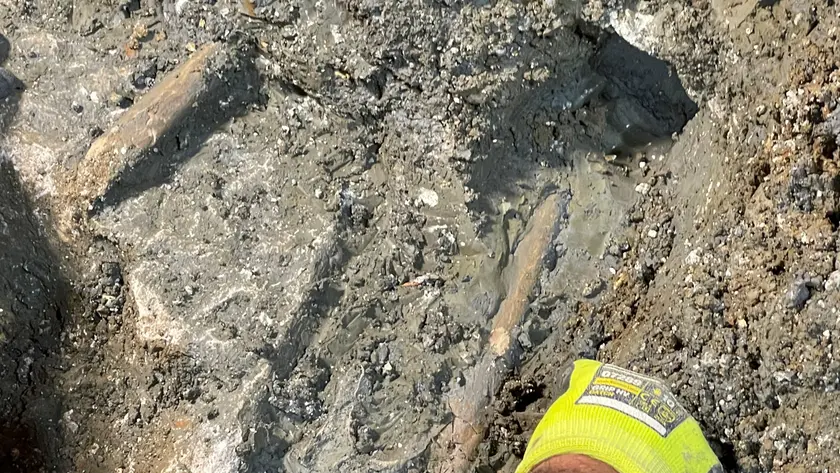 Le ossa ritrovate nel cantiere in corso nel complesso scolastico Spaccini-Sauro (foto Silvano)