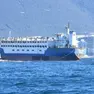 La nave Deala da oltre un anno incagliata