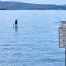 Il divieto di balneazione dove attraccherà il Delfino Verde foto Silvano