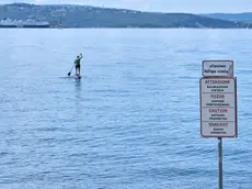 Il divieto di balneazione dove attraccherà il Delfino Verde foto Silvano