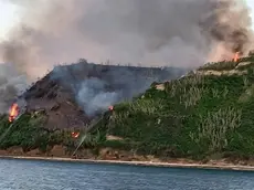Le fiamme sull’isola di Sansego