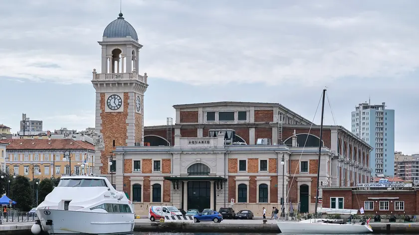L'Aquario di Trieste (Silvano)
