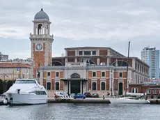 L'Aquario di Trieste (Silvano)
