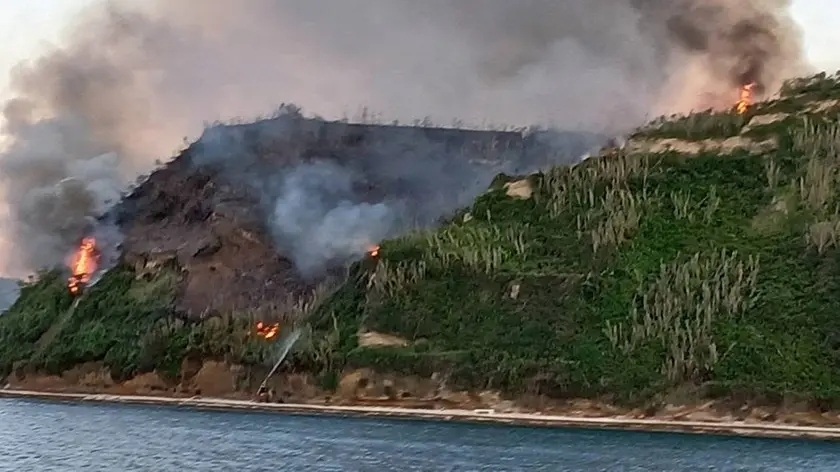 L’incendio sull’isola di Sansego. foto Burin.hr