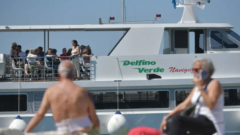 Il Delfino Verde che serve il collegamento Miramar (Bruni)