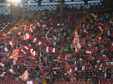 I tifosi della Triestina