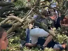 I soccorsi alle persone rimaste intrappolate sotto i rami