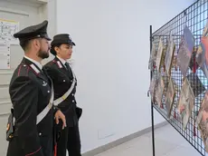 La mostra a Trieste (Silvano)