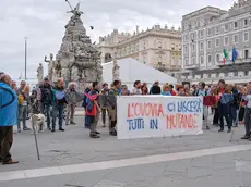 Il raduno del Comitato No Ovovia in piazza Unità (Francesco Bruni)