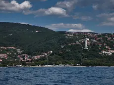 Bosco Bovedo (Lasorte)