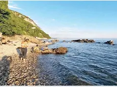 Uno scorcio della spiaggia libera che si trova nell'area di Canovella degli Zoppoli