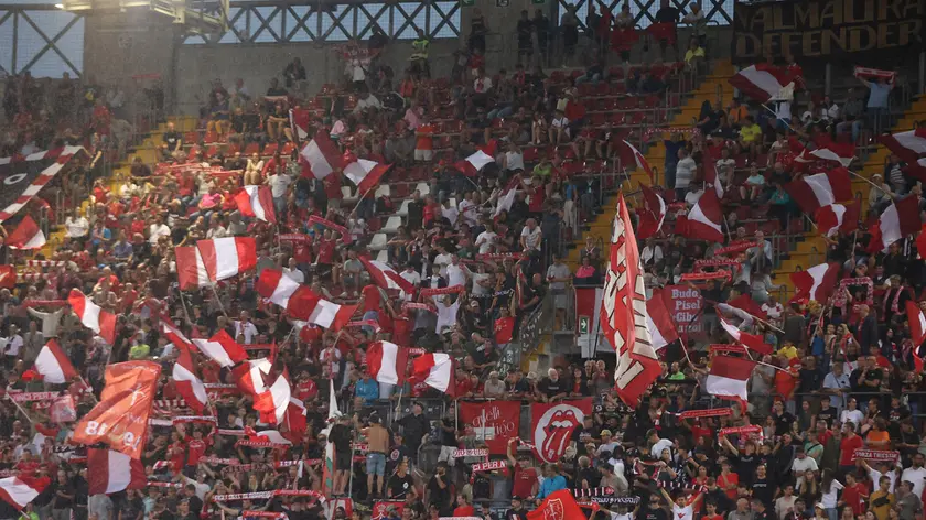 I tifosi della Triestina